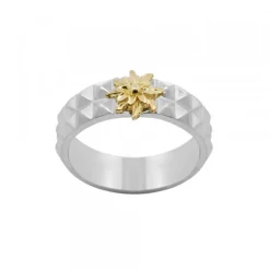Anillo Aiora Plata Eguzkilore Dorado