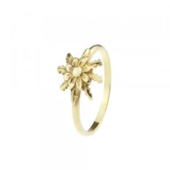 Anillo Eguzkilore Clásico Oro Talla 12