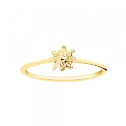 Anillo Eguzkilore Fino Oro 18kt.