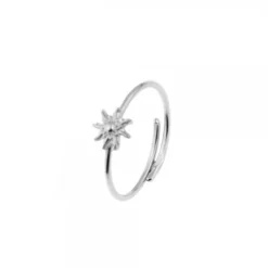 Anillo Ghor Plata