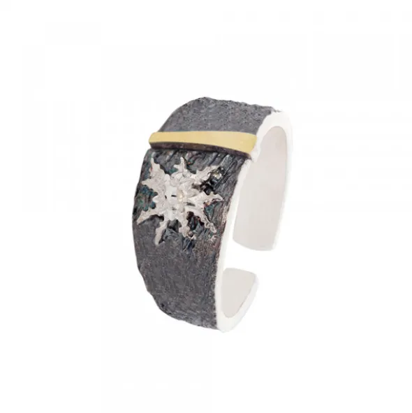 Anillo Grande Flysch Plata con Lámina de Oro
