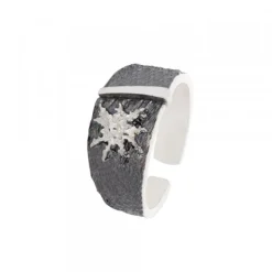 Anillo Grande Flysch Plata