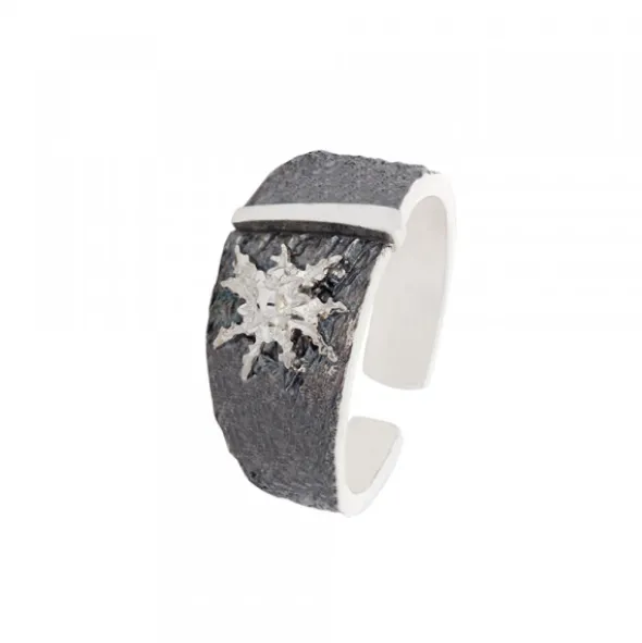 Anillo Grande Flysch Plata