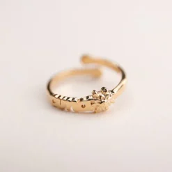 Anillo Letras Ama Plata Dorada