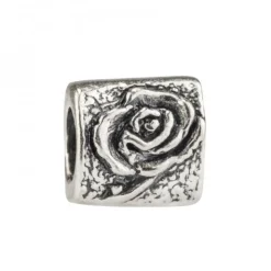 Charm Sant Jordi y La Rosa de Plata