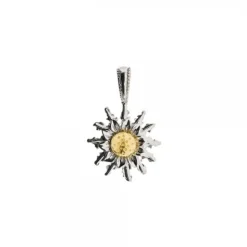 Colgante Eguzkilore Plata Bicolor 14mm