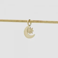 Colgante Luna y Eguzkilore Plata Dorada
