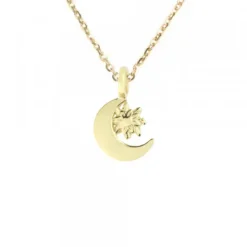 Colgante Luna y Eguzkilore Plata Dorada