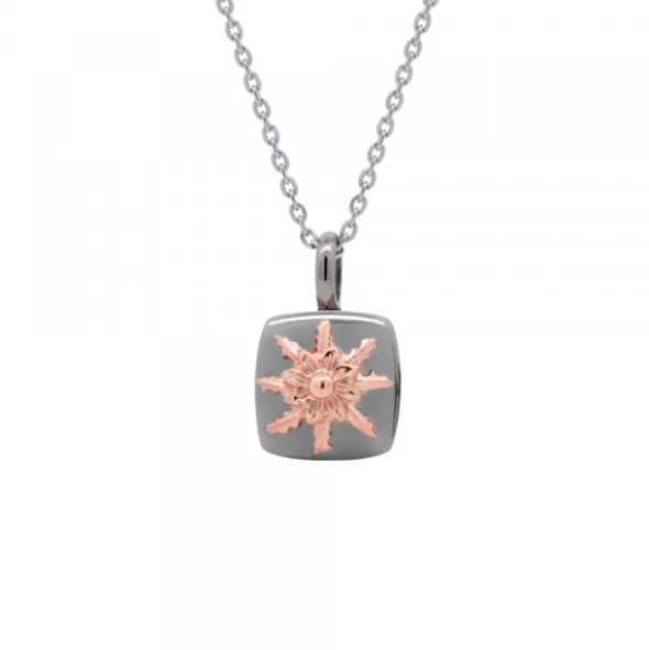 Colgante Q2 Plata Negra y Eguzkilore Rosa