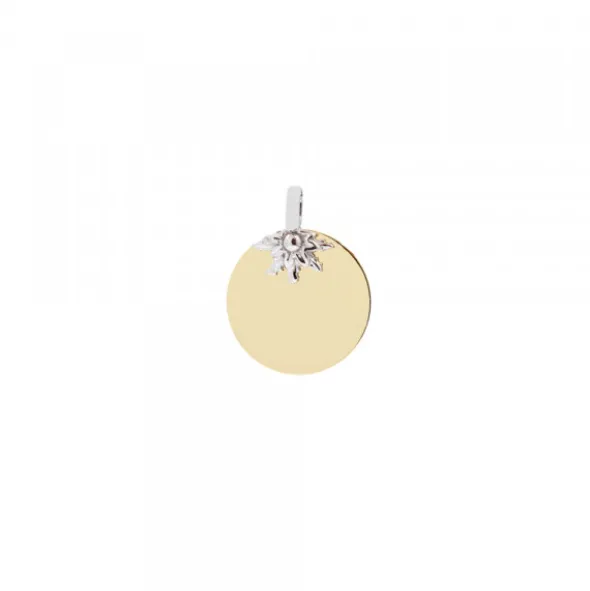 Medalla Oro y Eguzkilore Oro Blanco 14mm