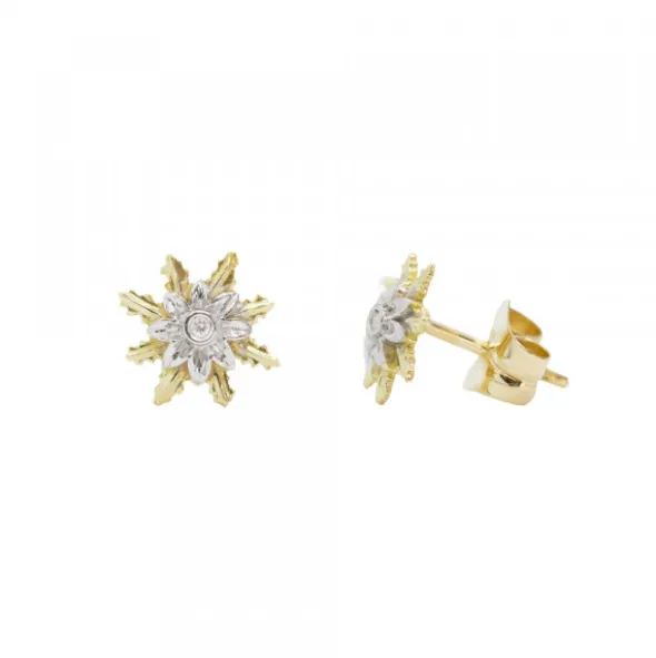 Pendientes Eguzkilore Oro Bicolor y Brillante 9mm