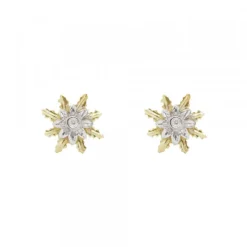Pendientes Eguzkilore Oro Bicolor y Brillante 9mm