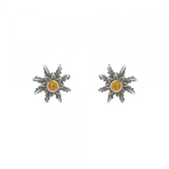 Pendientes Eguzkilore Plata Envejecida Dorada y Circonita 12mm